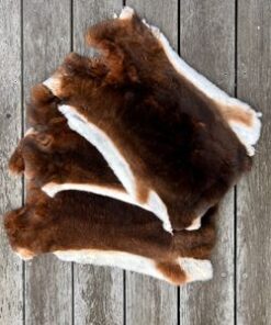 Fell-shop_Rexkanin
