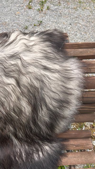 Isländisches Lammfell naturgrau schwarze Spitzen XL Unikat – Fell-shop.ch Zürich