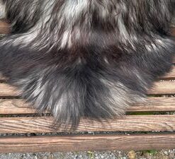 Isländisches Lammfell naturgrau schwarze Spitzen XL Unikat – Fell-shop.ch Zürich