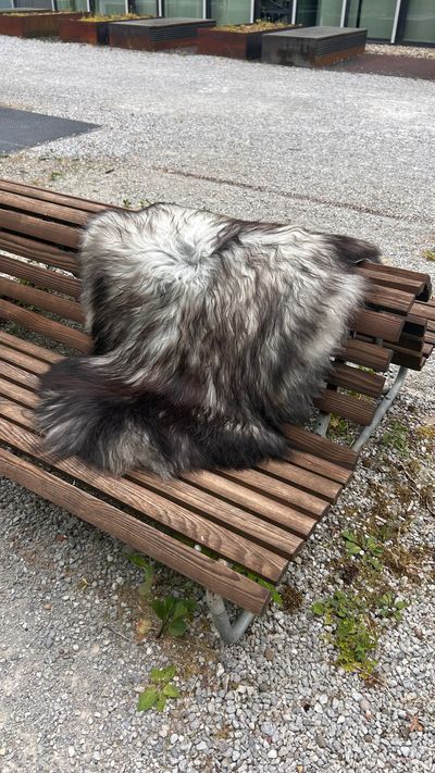 Isländisches Lammfell naturgrau schwarze Spitzen XL Unikat – Fell-shop.ch Zürich
