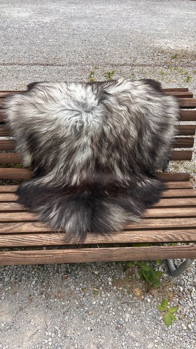 Isländisches Lammfell naturgrau schwarze Spitzen XL Unikat – Fell-shop.ch Zürich