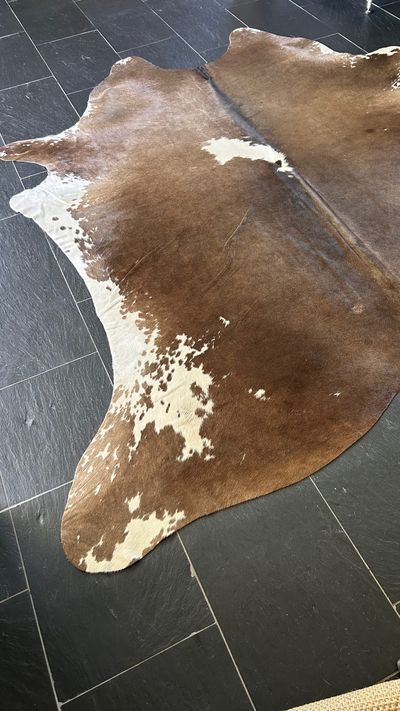 Kuhfell Walnut braungrau mit hellem Bauchfell und weissen Tupfen, Grösse S – Fell-Shop.ch Zürich