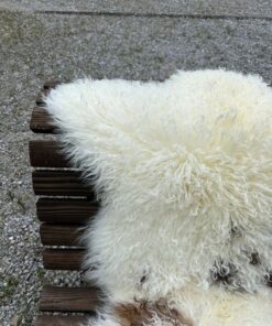 Tibetisches Lammfell Naturbunt mit sanften Zapfenlocken und dunkelbraunen Punkten