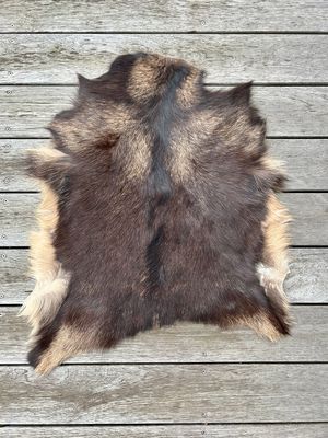 Fell-shop_Gitzifell
