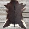 Fell-shop_Gitzifell