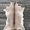 Fell-shop_Gitzifell