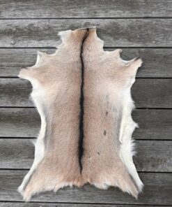 Fell-shop_Gitzifell