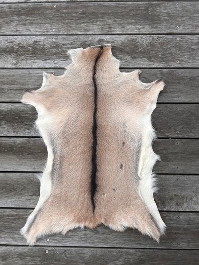 Fell-shop_Gitzifell
