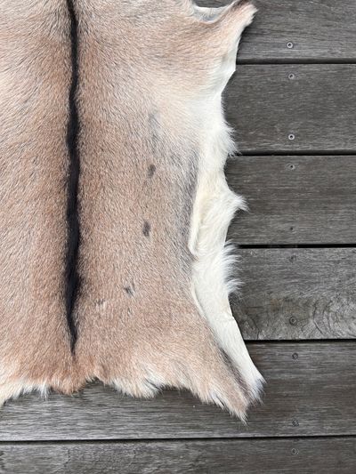Fell-shop_Gitzifell
