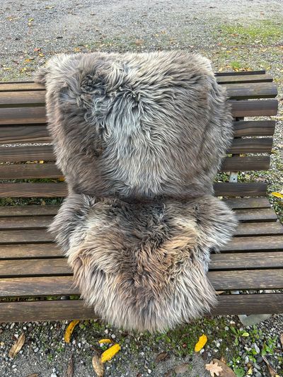 Englisches Lammfell naturbunt, braungrau gemasert mit vanillefarbenen Spitzen, XL 106 x 53 cm – Fell-Shop.ch Zürich