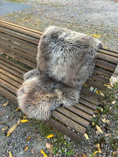 Englisches Lammfell naturbunt, braungrau gemasert mit vanillefarbenen Spitzen, XL 106 x 53 cm – Fell-Shop.ch Zürich