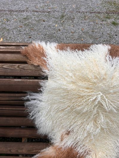Tibetisches Lammfell naturbunt, vanilleweiss mit rotbraunen Zeichnungen, Grösse L – Fell-Shop.ch Zürich
