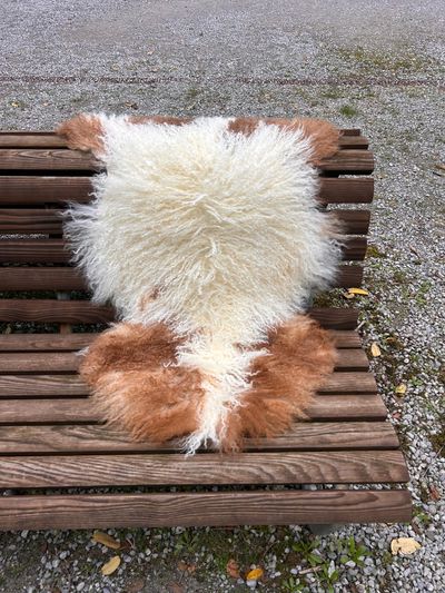 Tibetisches Lammfell naturbunt, vanilleweiss mit rotbraunen Zeichnungen, Grösse L – Fell-Shop.ch Zürich