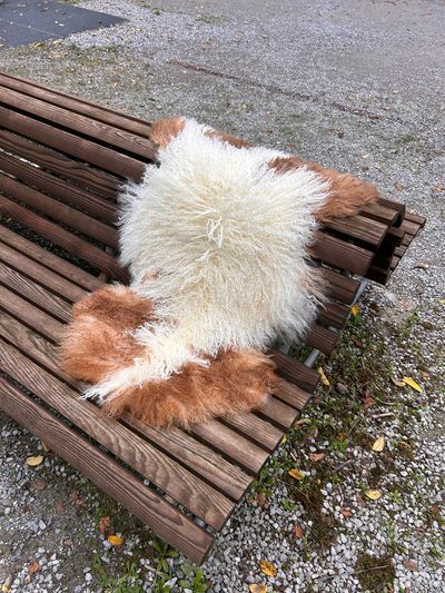 Tibetisches Lammfell naturbunt, vanilleweiss mit rotbraunen Zeichnungen, Grösse L – Fell-Shop.ch Zürich