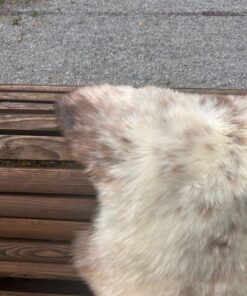 Lammfell naturbunt vanilleweiss mit hellbraunen und dunkelbraunen Punkten, Grösse XL