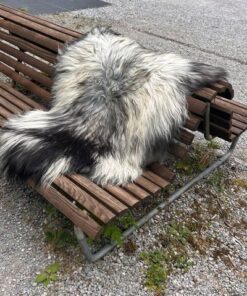Isländisches Lammfell naturgrau mit schwarzen Strähnen am Nacken, Grösse L