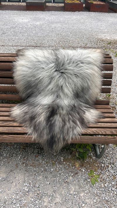 Isländisches Lammfell hellgrau anthrazit Vanille-Unterfell seidiges Haar L Unikat – Fell-shop.ch Zürich Schlagwörter: Isländisches Lammfell hellgrau anthrazit Vanille-Unterfell seidiges Haar L Unikat – Fell-shop.ch Zürich