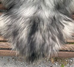 Isländisches Lammfell hellgrau anthrazit Vanille-Unterfell seidiges Haar L Unikat – Fell-shop.ch Zürich