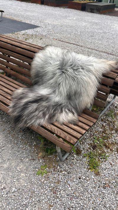 Isländisches Lammfell hellgrau anthrazit Vanille-Unterfell seidiges Haar L Unikat – Fell-shop.ch Zürich