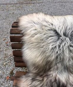 Isländisches Lammfell Dreifärber, vanilleweiss mit hellbraunen und schwarzen Spitzen, Grösse L – Fell-Shop.ch Zürich