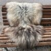 Isländisches Lammfell Dreifärber, vanilleweiss mit hellbraunen und schwarzen Spitzen, Grösse L – Fell-Shop.ch Zürich