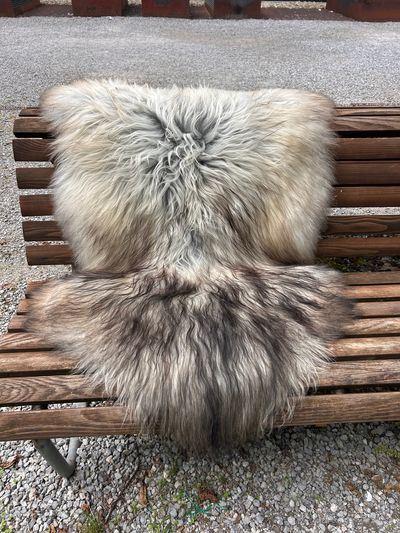 Isländisches Lammfell Dreifärber, vanilleweiss mit hellbraunen und schwarzen Spitzen, Grösse L – Fell-Shop.ch Zürich