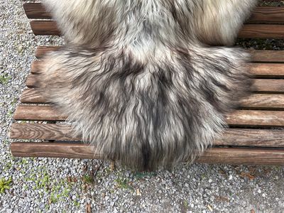 Isländisches Lammfell Dreifärber, vanilleweiss mit hellbraunen und schwarzen Spitzen, Grösse L – Fell-Shop.ch Zürich