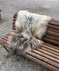Isländisches Lammfell Dreifärber, vanilleweiss mit hellbraunen und schwarzen Spitzen, Grösse L – Fell-Shop.ch Zürich