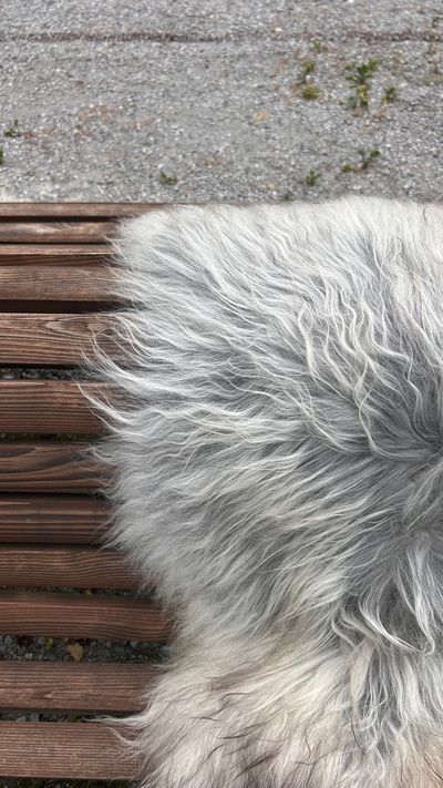 Isländisches Lammfell Dreifärber grau weiss braune Spitzen XL Unikat – Fell-shop.ch Zürich
