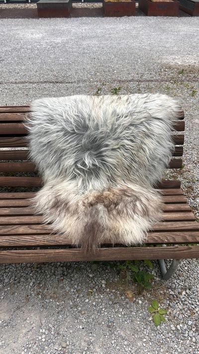 Isländisches Lammfell Dreifärber grau weiss braune Spitzen XL Unikat – Fell-shop.ch Zürich