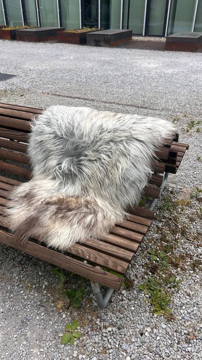 Isländisches Lammfell Dreifärber grau weiss braune Spitzen XL Unikat – Fell-shop.ch Zürich