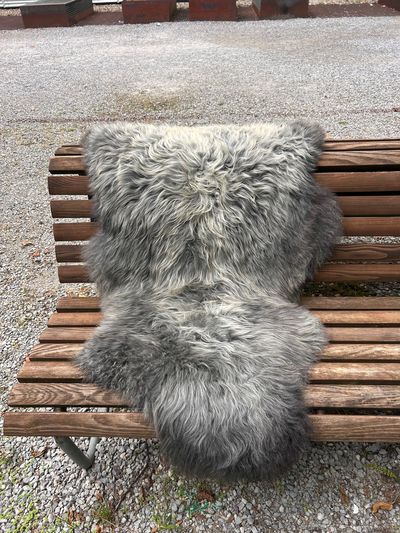 Norwegisches Pelzschaffell grau mit Anthrazit und vanillefarbenen Spitzen, ca. 117 x 67 cm – Fell-Shop.ch Zürich