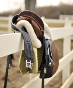 Reitsport Kollektion 🐴