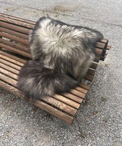 Isländisches Lammfell vanilleweiss mit schwarzen Spitzen, Grösse L – Fell-Shop.ch Zürich