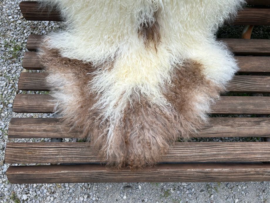Tibetisches Lammfell Naturbunt, vanilleweiss mit braunen Punkten und feinen Locken